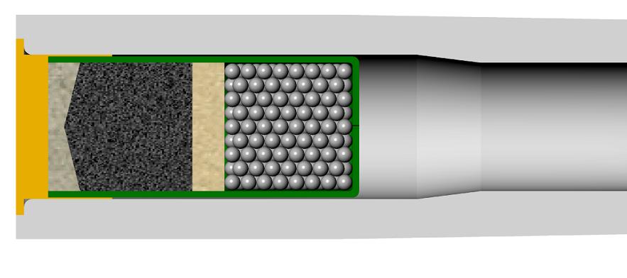 shotshell and chamber.JPG