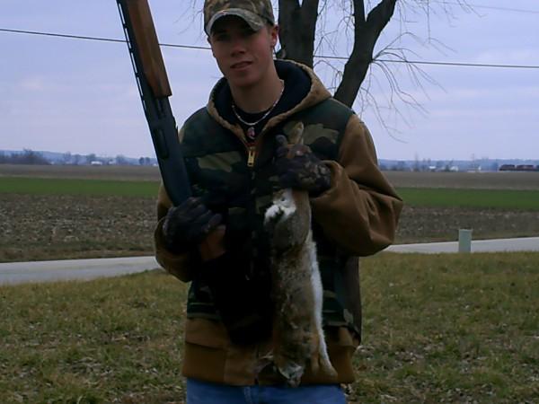 cottontail rabbits 2008
