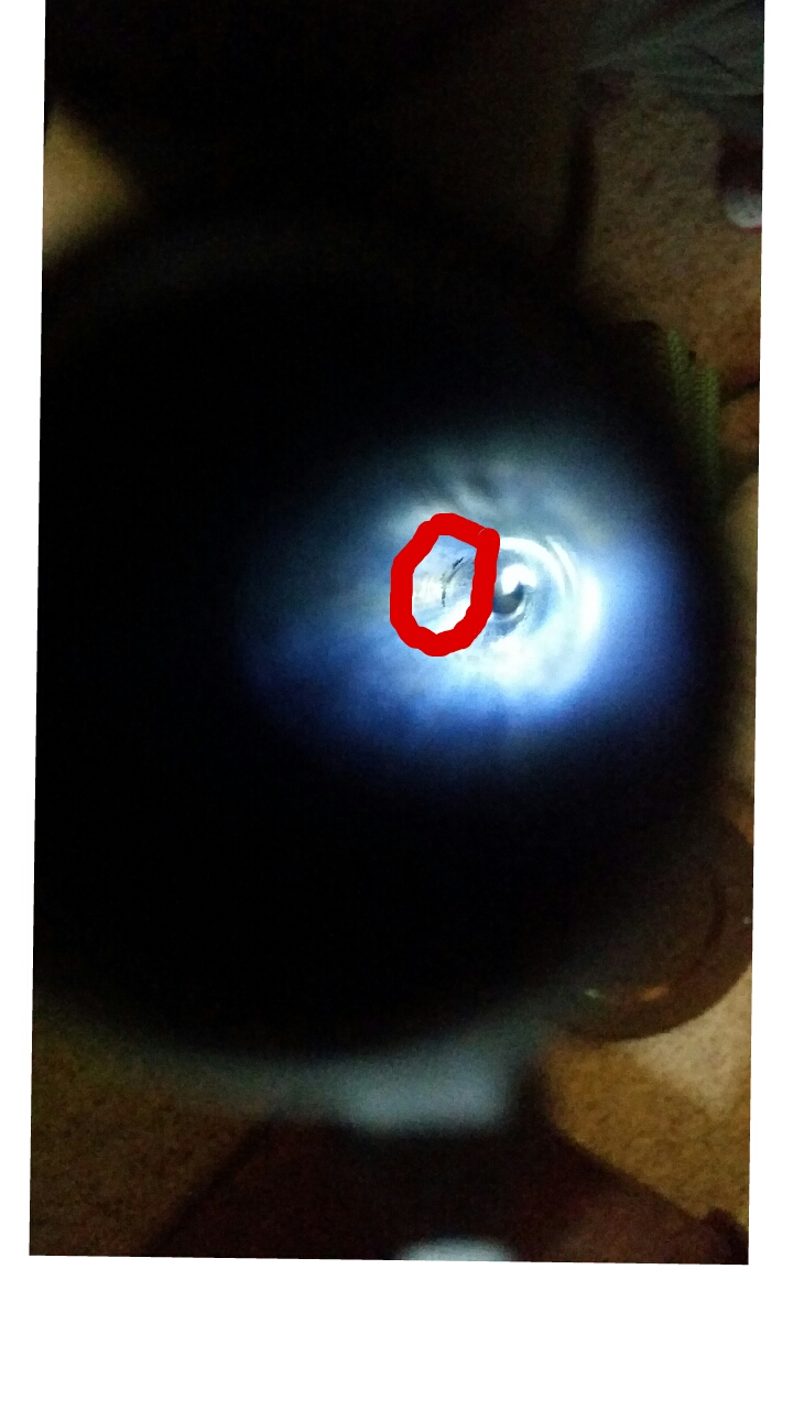 870.jpg