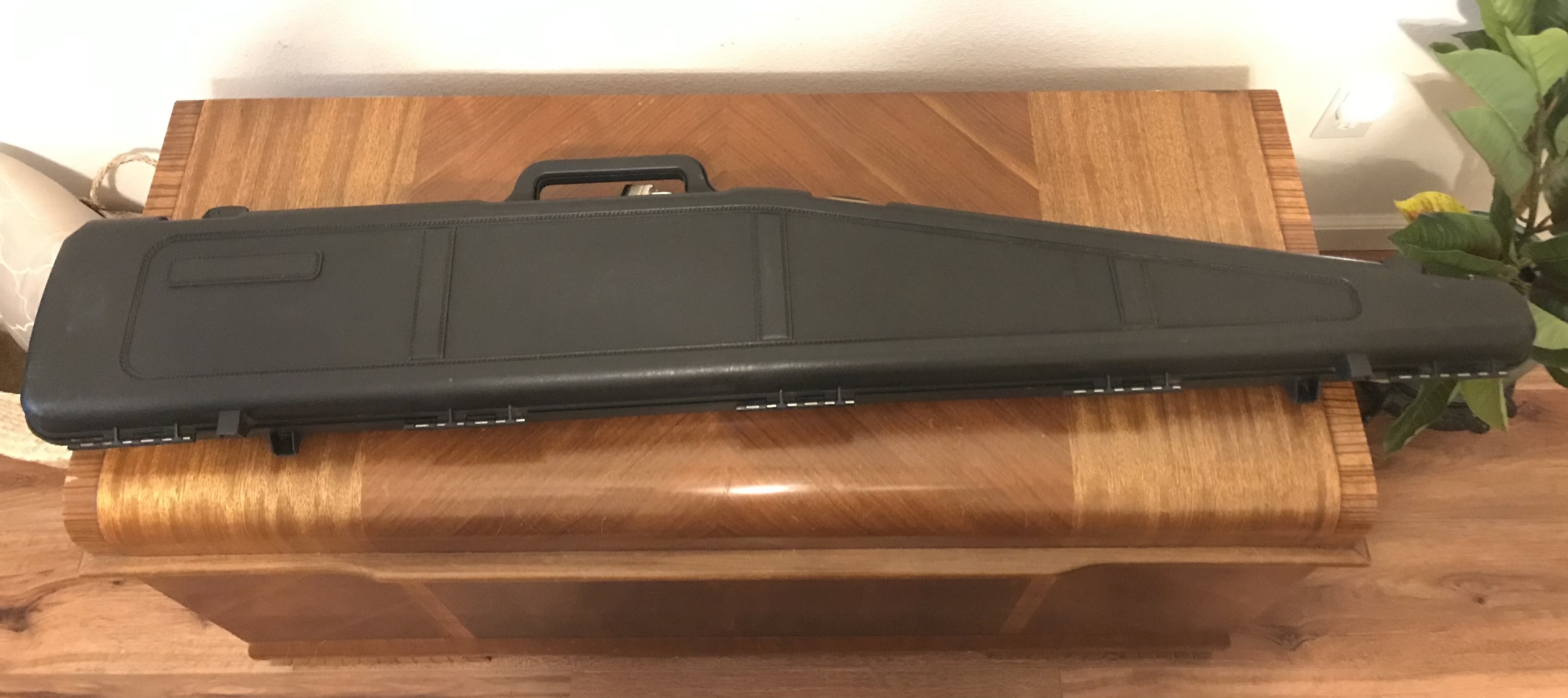 Ratty free case from gun shop