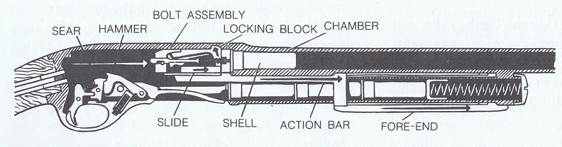 This image has some minor inaccuracies relating to part design, but it accurately illustrates the general mechanics of the 870's action.